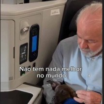 Lula segura cachorra Esperança no colo durante voo de volta do RS - Reprodução/redes sociais