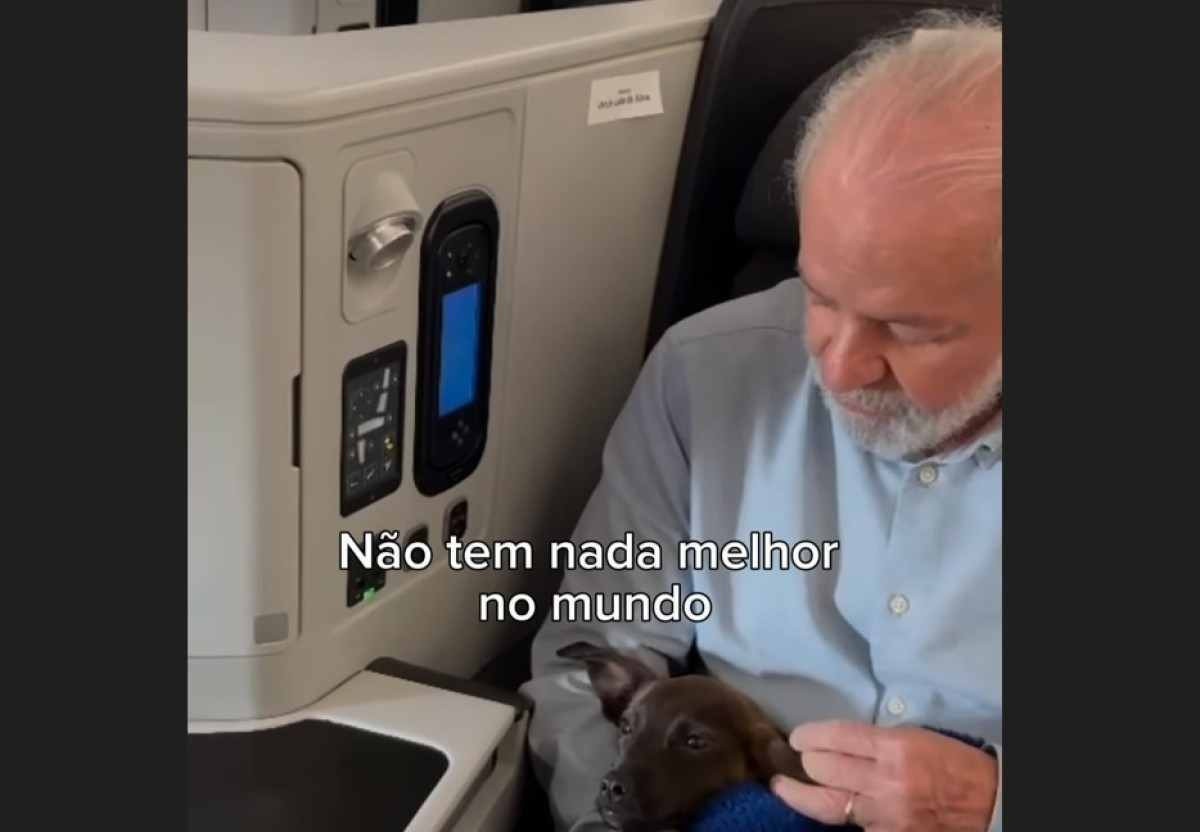 Lula segura cachorra Esperança no colo durante voo de volta do RS