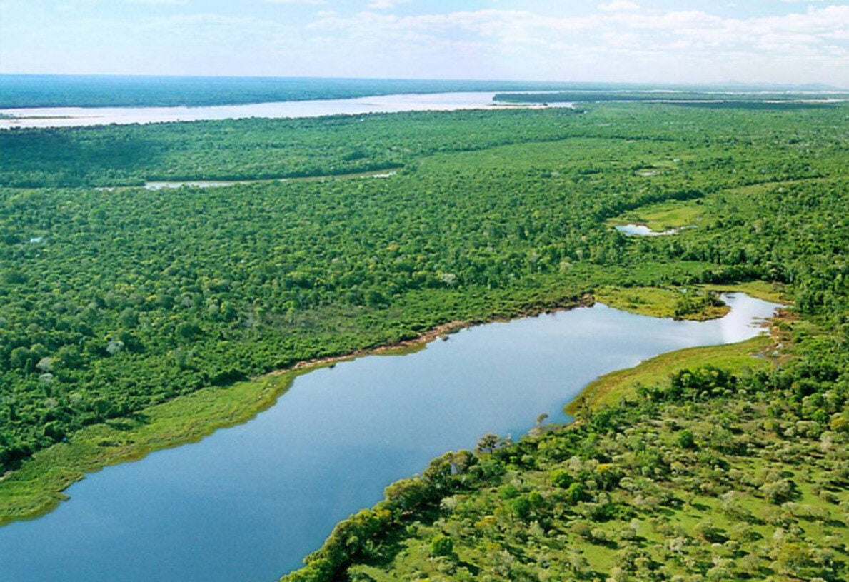 Brasil tem as maiores ilhas fluviais do mundo; veja lista