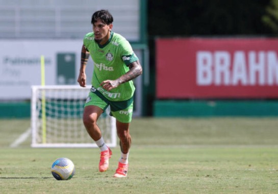 Foto: Cesar Greco / Palmeiras