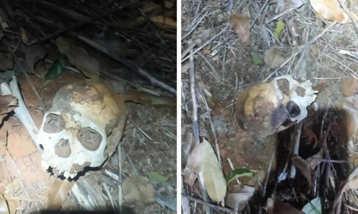 Crânio foi encontrado em fazenda na zona rural de Botumirim, no Norte de Minas -  (crédito: CBMMG)