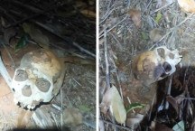 Crânio é encontrado em fazenda no Norte de Minas