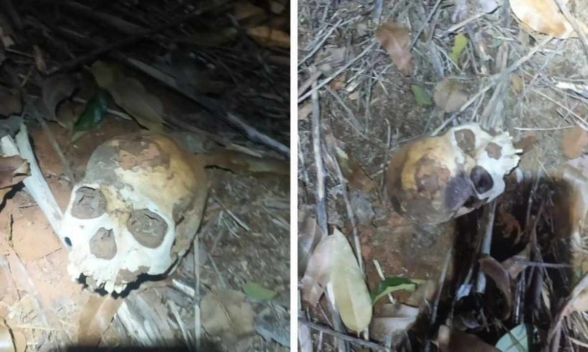 Crânio é encontrado em fazenda no Norte de Minas