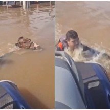 Cavalo submerso no RS é resgatado por vice-prefeito; veja vídeo - Reprodução/Redes sociais