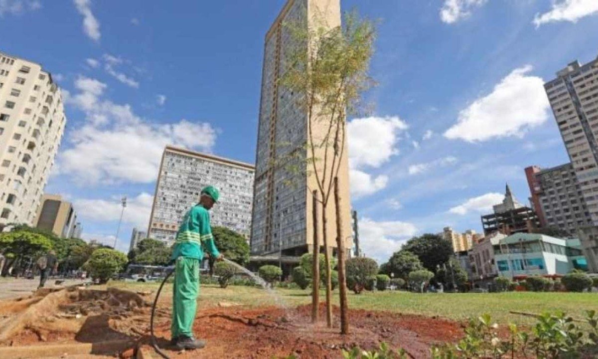 A prefeitura de Belo Horizonte deu início nesta quinta-feira (9/5) ao plantio de flamboyants na Praça Raul Soares. -  (crédito: Reprodução / Adão de Souza/ PBH)