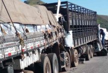 BR-262: engavetamento entre 3 caminhões deixa pelo menos um morto