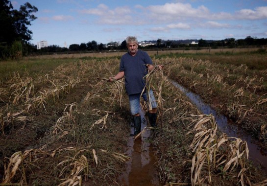 Sebastiao Moreira/EPA-EFE/REX/Shutterstock