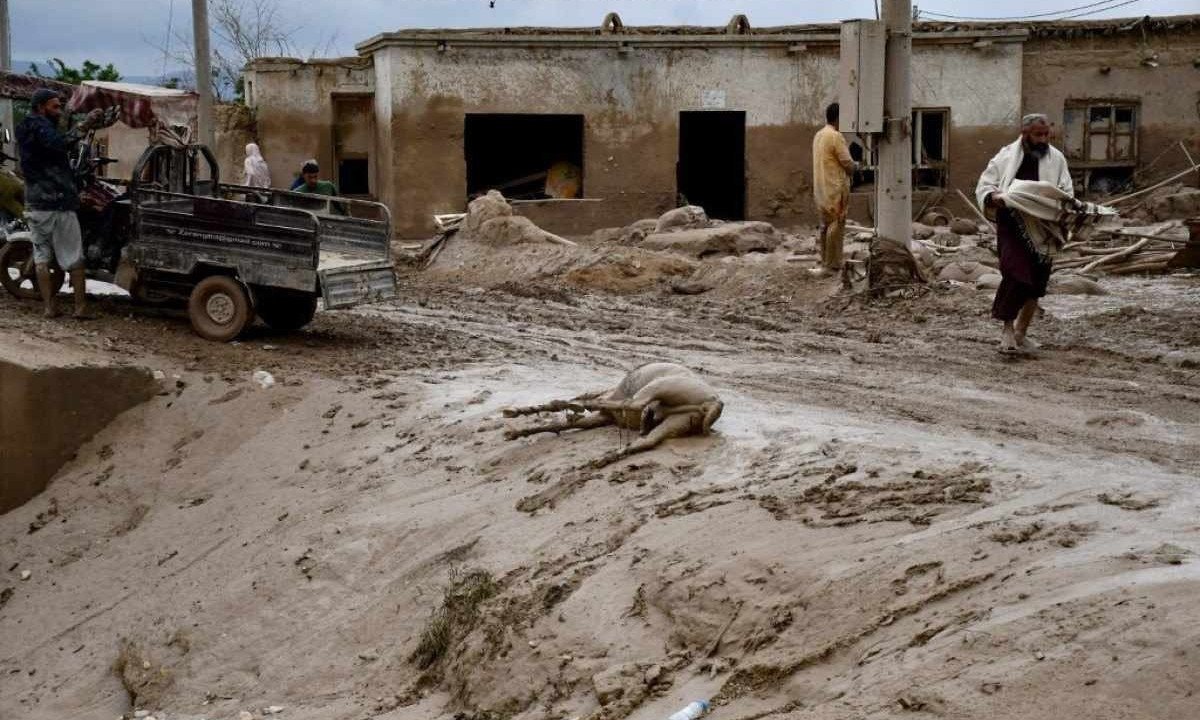 Afegãos passam pelo cadáver de um burro ao longo de uma rua coberta de lama após enchentes repentinas após fortes chuvas  -  (crédito:  Atif Aryan / AFP)