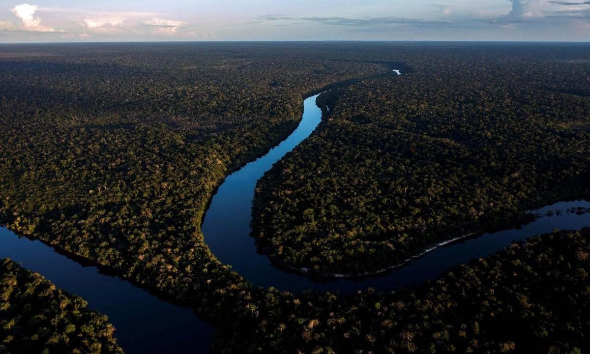 Floresta Amazônica: "A vida e os saberes indígenas consideram o universo em sua totalidade e inserem o ser humano em uma complexa rede de relações" -  (crédito: MAURO PIMENTEL/AFP)