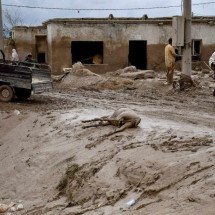 Mais de 300 pessoas morreram em inundações no Afeganistão, segundo PMA -  Atif Aryan / AFP