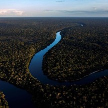 A cosmovisão da floresta e o fim do mundo - MAURO PIMENTEL/AFP