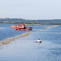 MST calcula perda de até 10 mil toneladas de arroz orgânico no RS - Reprodução/Redes sociais