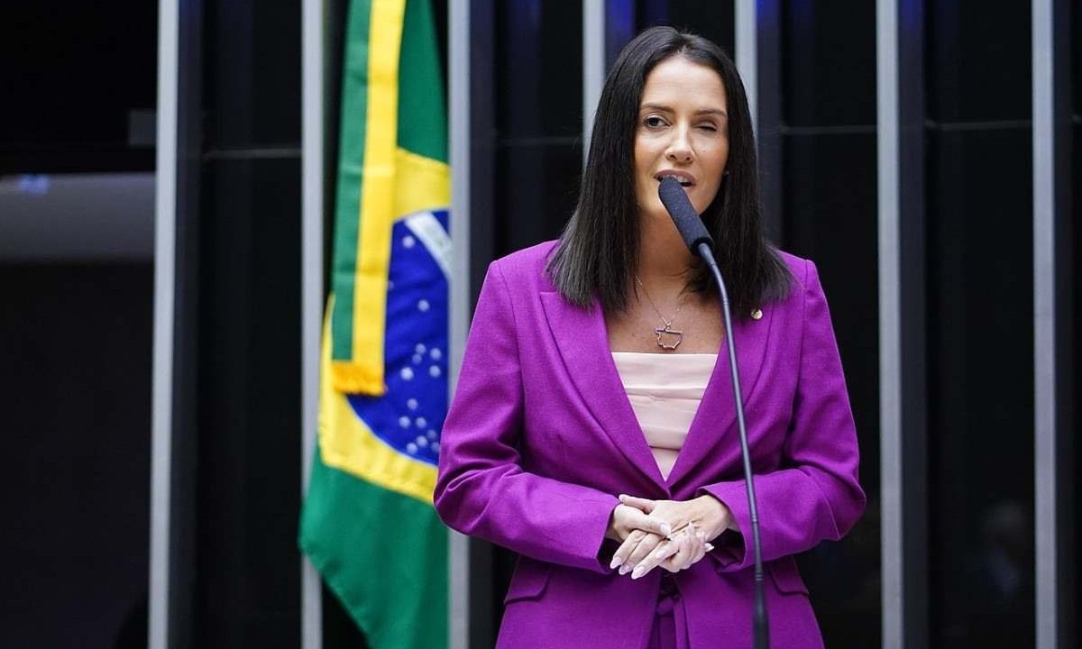 Deputada Federal Amália Barros -  (crédito: Câmara dos Deputados)