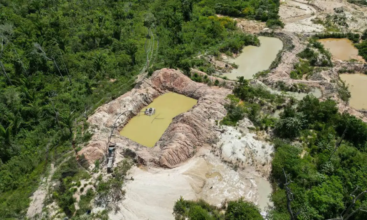 Polícia Federal fecha três garimpos em Terra Indígena Kayapó no Pará -  (crédito: EBC)