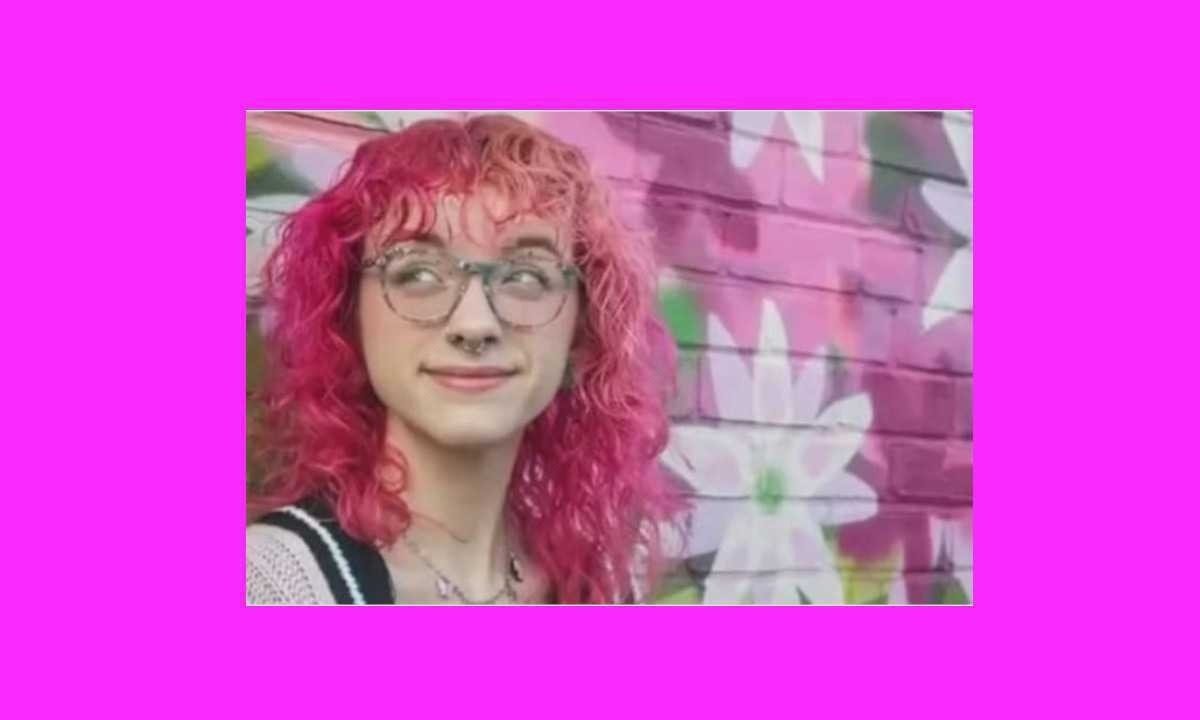 Bird Piché, de 24 anos, foi atingida na cabeça pelo vocalista da banda de punk rock Trophy Eyes, quando ele pulou do palco no meio da multidão; jovem está parcialmente paralisada -  (crédito: Reprodução/Redes sociais)