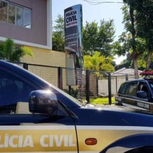 Polícia investiga mortes de gatos por armas de chumbinho no interior de MG - PCMG/Divulgação