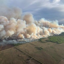 Milhares precisam deixar suas casas no Canadá devido a incêndios florestais -  AFP