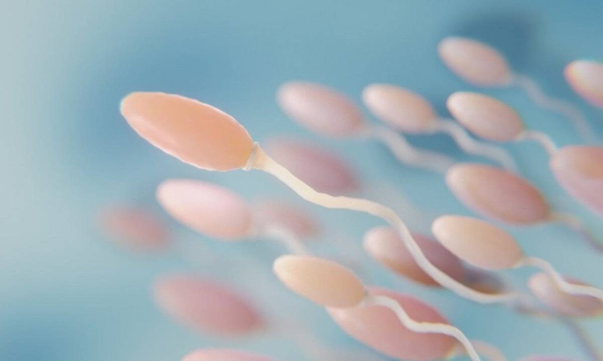 Só um dos mais de 300 milhões de espermatozoides que nadam alucinados para chegar ao óvulo consegue fecundá-lo -  (crédito: Freepik)