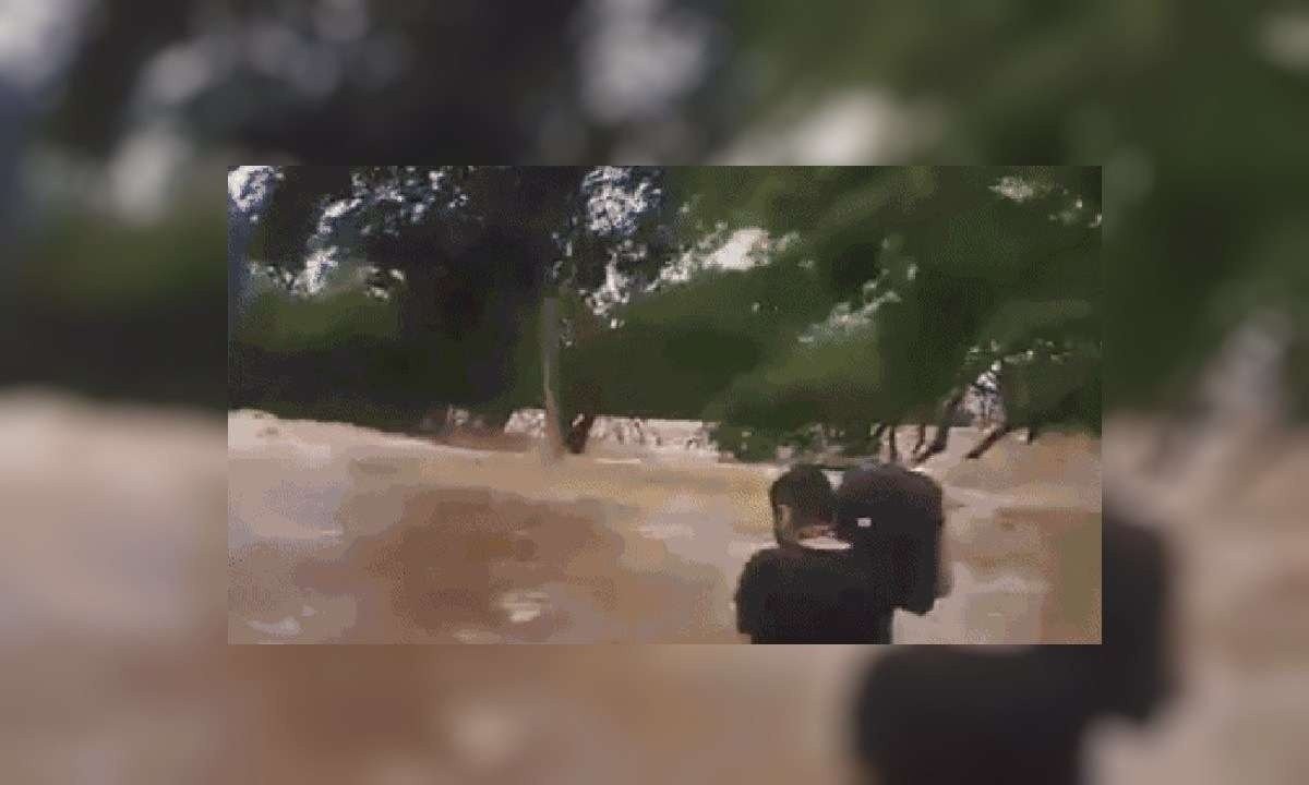 Homem enfrenta enchente carregando caixa de transportar animais -  (crédito: Reprodução/Dailymotion)