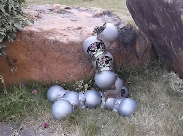 Cientistas criam ‘robô-caracol’ capaz de acessar terrenos difíceis - reprodução