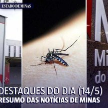 Destaques do dia (14/5): proposta de reajuste e mortes por chikungunya  - Arte sobre fotos de Eric Bezerra/MPMG, Pixabay e Jair Amaral/EM/D.A Press