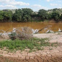 Caso Brumadinho: revisão de negados no Pagamento Emergencial é aprovada - FGV/Divulgação