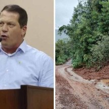 Vereador gaúcho pede retirada de árvores para 'evitar enchentes' - Instagram / reprodução