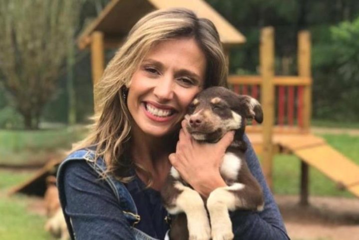 Luisa Mell fratura duas costelas enquanto resgatava animais no RS - Reprodução Instagram