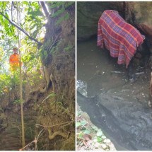 Égua e filhote desaparecidos há 10 dias são resgatados em barranco de 6m  - Corpo de Bombeiros/Divulgação