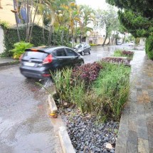 BH: morador terá desconto de até R$ 2 mil no IPTU se adotar jardim de chuva - Alexandre Guzanshe/EM/D.A Press