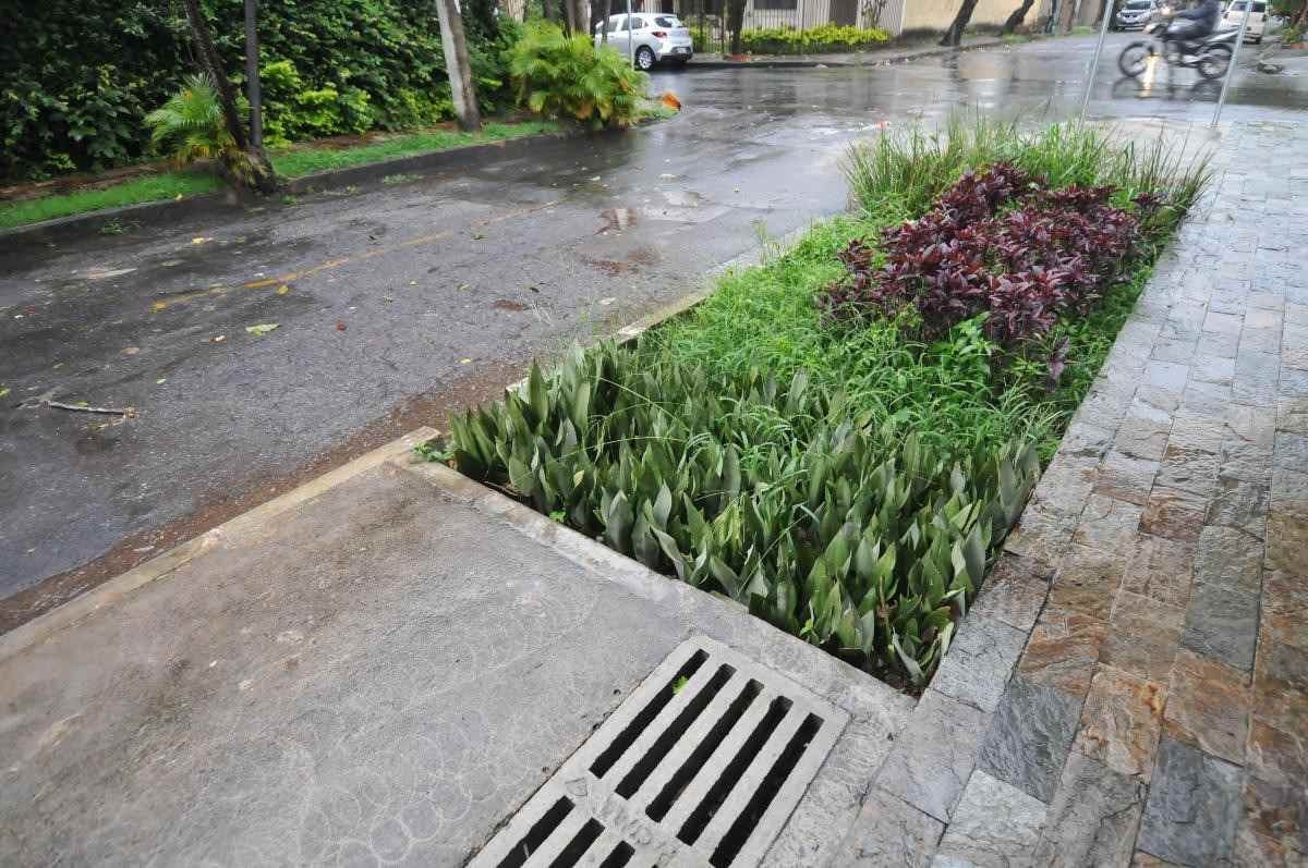 Os jardins de chuva ajudam contra as enchentes urbanas