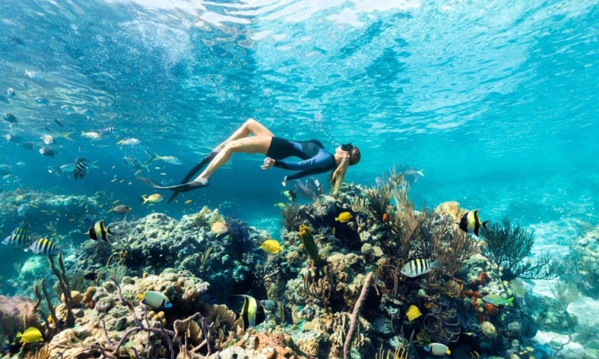 Explore a beleza natural e os tesouros submarinos da Barreira de Recifes de Andros, nas Bahamas -  (crédito: Uai Turismo)