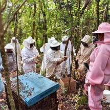 WebStories: Japoneses criam drones para substituir abelhas