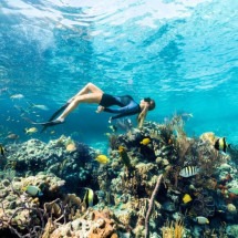 Explore a beleza natural e os tesouros submarinos da Barreira de Recifes de Andros, nas Bahamas - Uai Turismo
