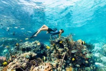 Explore a beleza natural e os tesouros submarinos da Barreira de Recifes de Andros, nas Bahamas