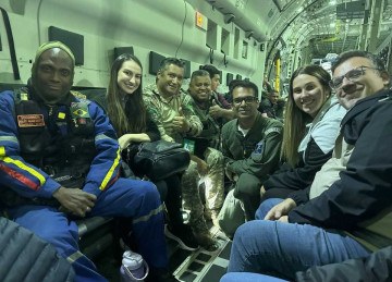 MÃ©dicos veterinÃ¡rios, biÃ³logos, tÃ©cnicos e pessoas comuns que resgatam animais no Rio Grande do Sul  -  (crédito: arquivo pessoal)