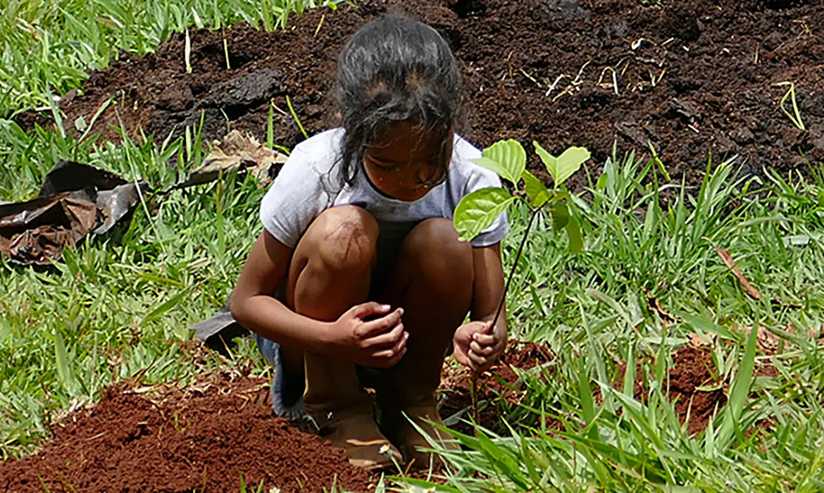 Estudo revela efetividade das ações de conservação ambiental -  (crédito: EBC)