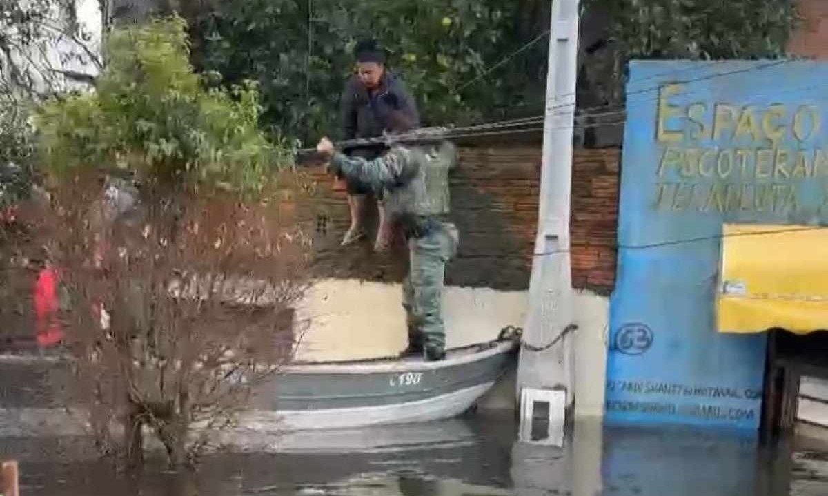 Mulher e dois gatos foram resgatados por policiais mineiros em Canoas, no Rio Grande do Sul -  (crédito: PMMG/Divulgação)
