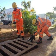 Cadela fica presa em bueiro de 2 metros de profundidade e mobiliza CBMMG - CBMMG/Divulgação 