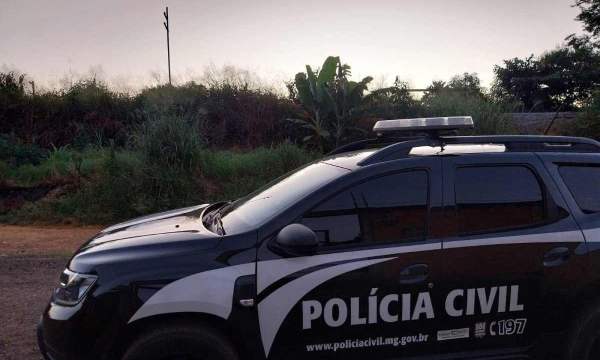 Investigação começou depois de a Polícia Civil encontrar o corpo do homem carbonizado em uma caminhonete, às margens da BR-381 -  (crédito: PCMG)