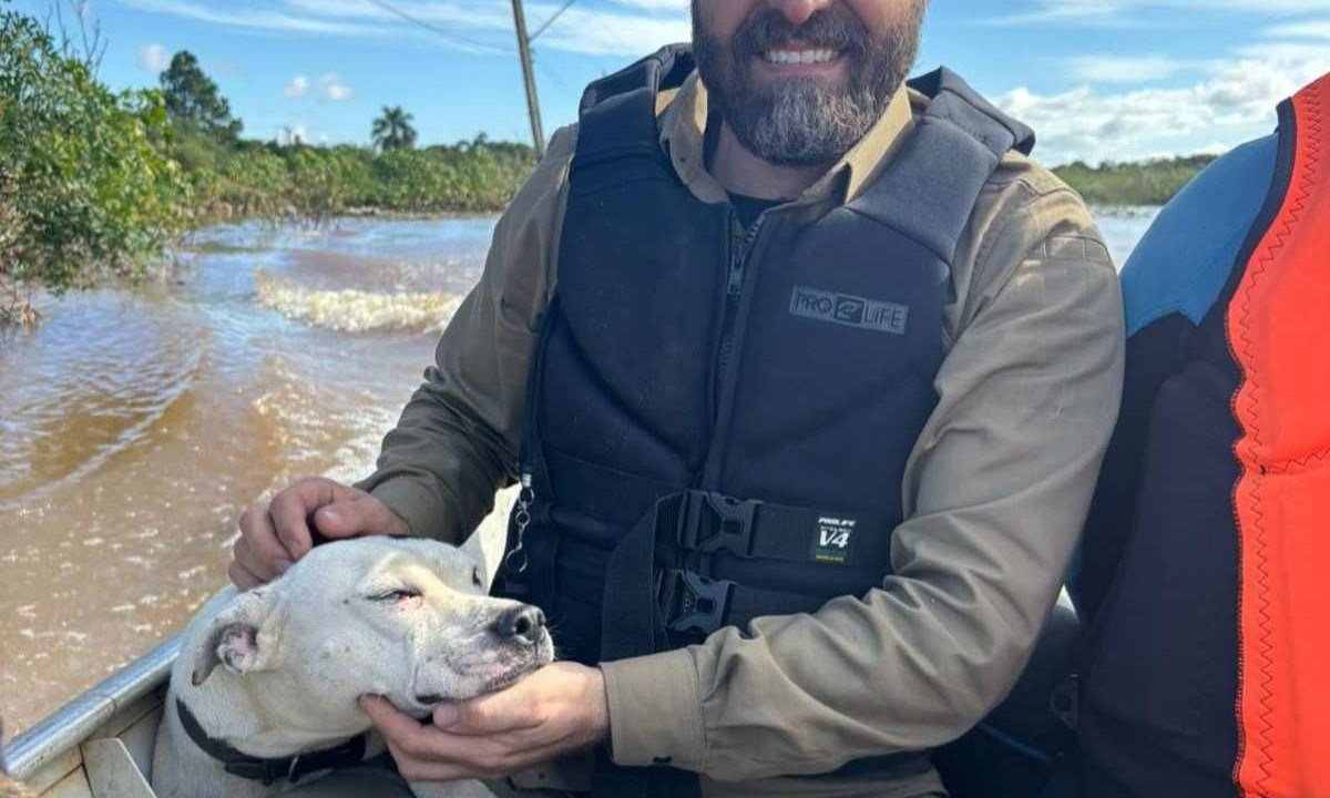 Equipe de mineiros ajuda a resgatar animais no RS