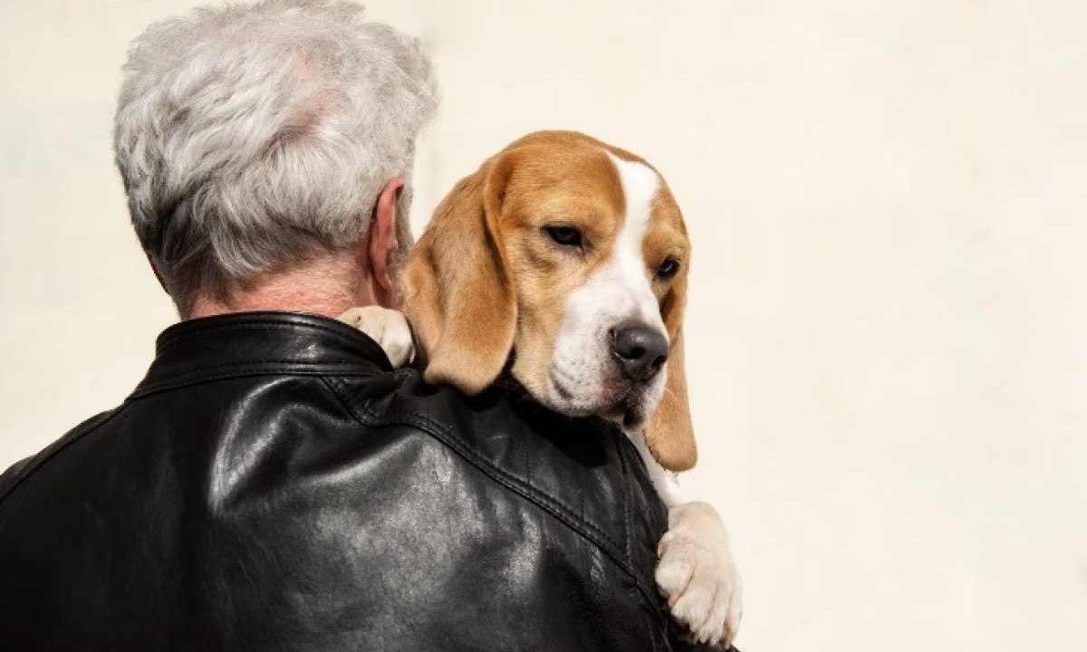 A presença de um pet pode reduzir significativamente os níveis de ansiedade e depressão, comuns na terceira idade -  (crédito: Freepik)