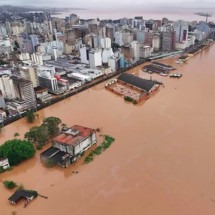 WebStories: Novo termo que reflete ‘ansiedade ambiental’ é adotado no Brasil