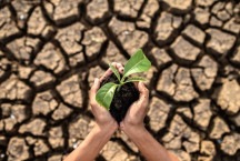 ESG é fundamental para resiliência climática e futuro das empresas