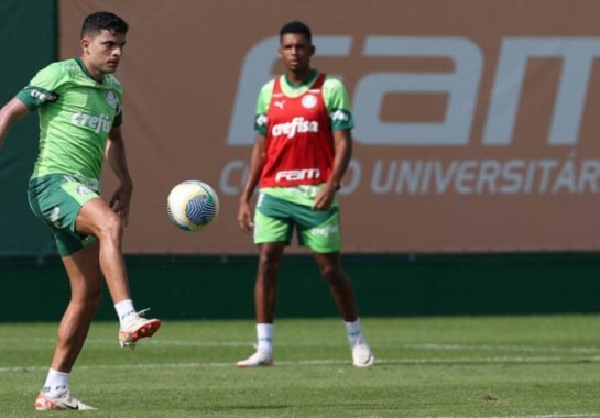 Foto: Cesar Greco/Palmeiras