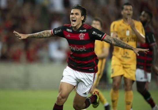 Foto: Divulgação/Flamengo
