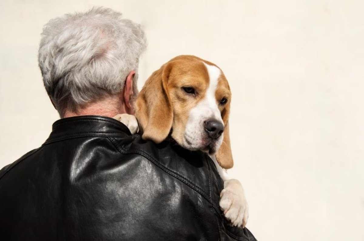 Pets e idosos: laços de bem-estar em tempos de crise