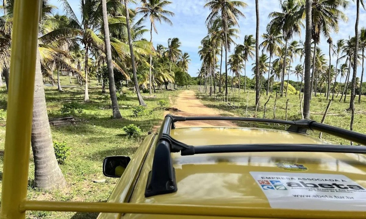 Desvende o Rio São Francisco no inverno -  (crédito: Uai Turismo)