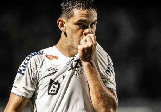 Foto: Raul Baretta/ Santos FC.