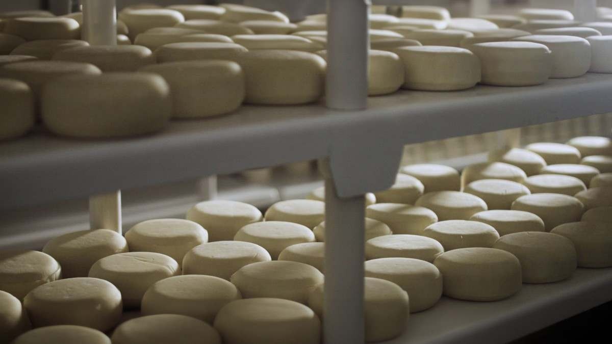 Com um período de maturação de cerca de 30 dias, o queijo meia-cura é um tipo de queijo que fica entre o fresco e o curado